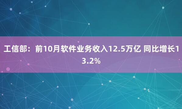 工信部：前10月软件业务收入12.5万亿 同比增长13.2%